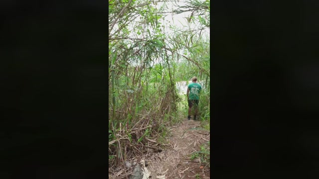 Synbaherrera  11-10-2022